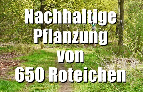 650 Roteichen für Karlsbad